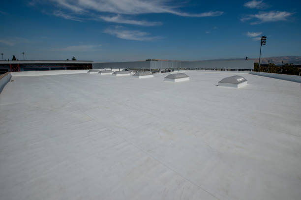Best Roof Coating and Sealing  in Balfour, NC